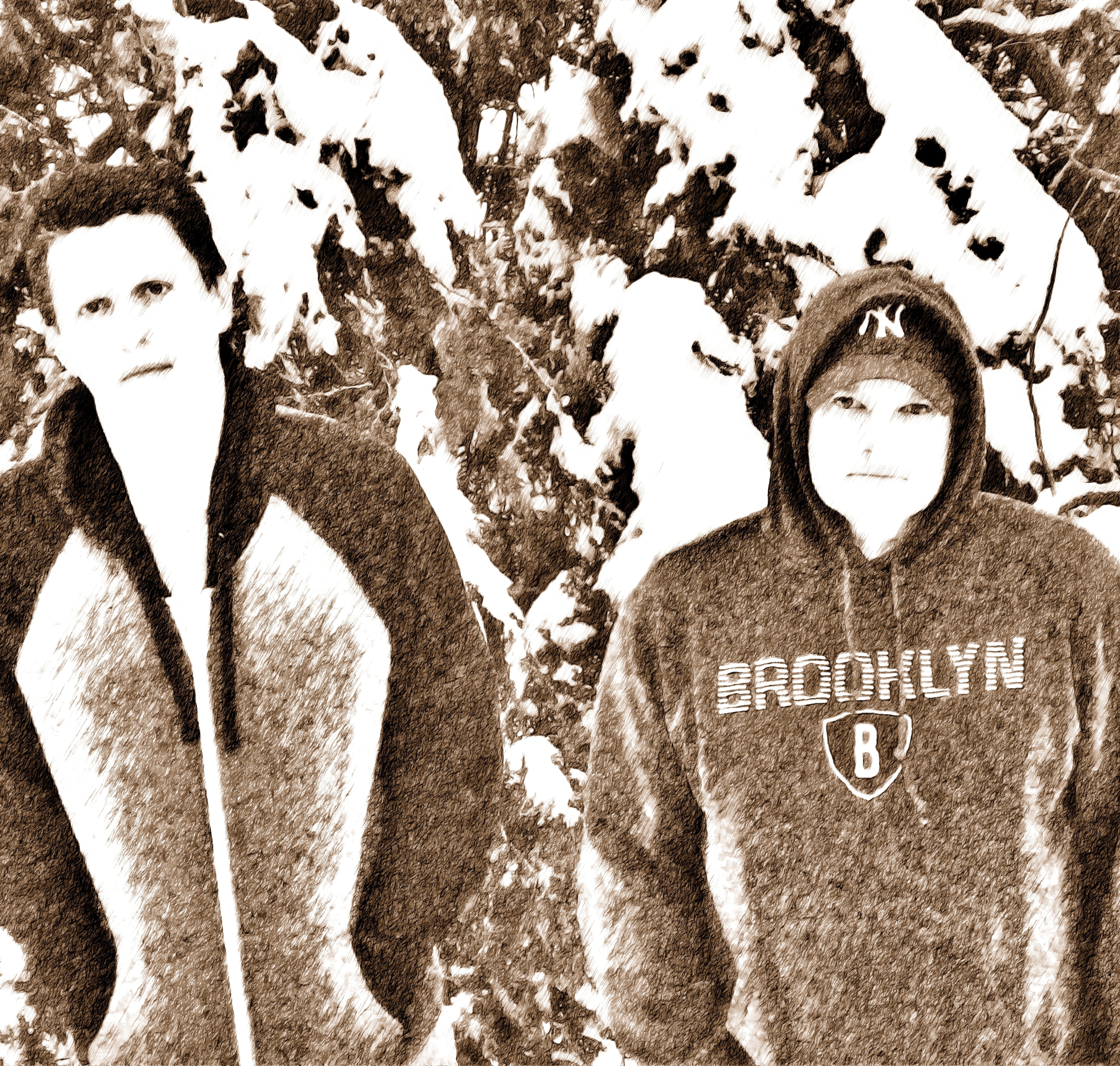 p1000768_cartoonized