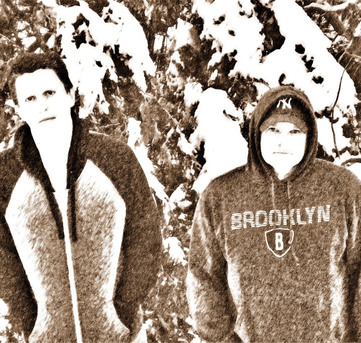 p1000768_cartoonized